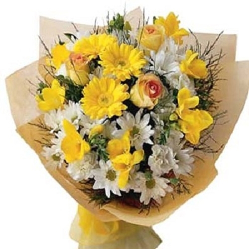 hoa sinh nhat thang 11 nen tang hoa gi