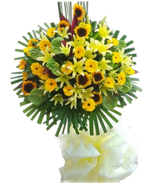 hoa sinh nhat thang 11 nen tang hoa gi